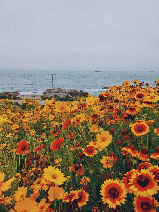 Summer Photography: 8 Tips and Ideas for Amazing Results