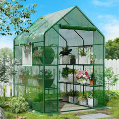 A green SPECILITE walk-in greenhouse measuring 56x56x78 inches, featuring shelves with various potted plants, set outdoors