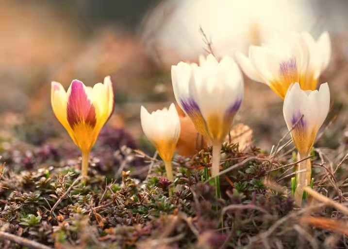 Spring has Sprung – Some Fresh Images of the Season