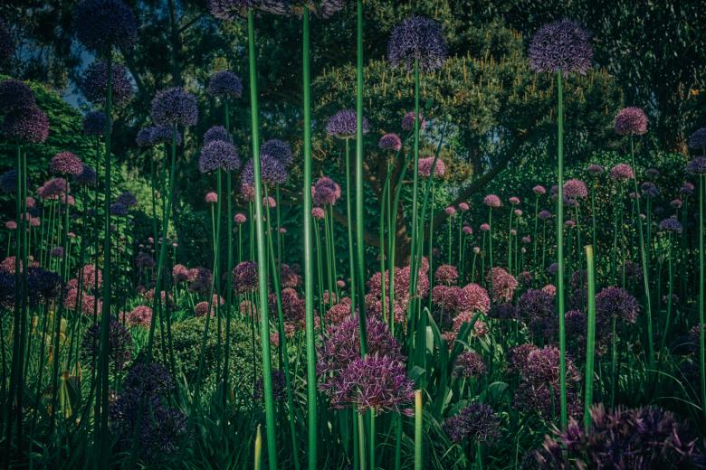 9 Photographs That Will Get You In The Mood for Spring