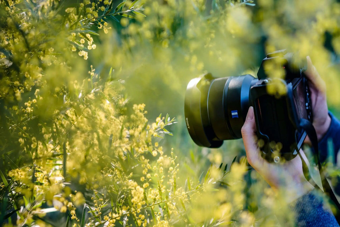 10 Photography Tips for Absolute Beginners (How to Get Started)