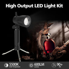 LED Continuous Light Lamp 5500K Portable Camera Photo Lighting - 2 Sets