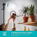 105W 5500K Full Spectrum Light Bulb, CFL Daylight for Photography -2 packs