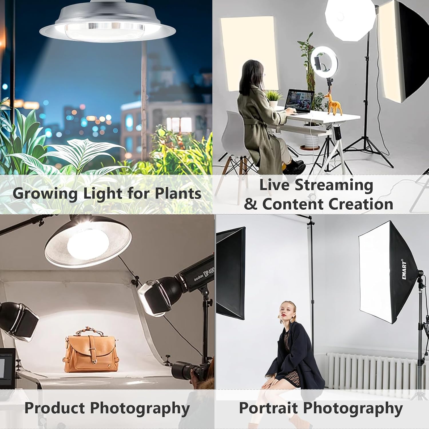 Four lighting setups showing indoor plants, livestreaming, handbag photography and studio portrait photography.