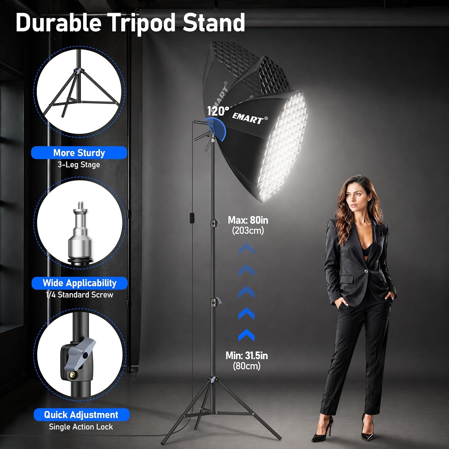 Octagonal softbox diagram showing 120-degree tilt, 31.5-to-80-inch stand height and tripod mounting details.