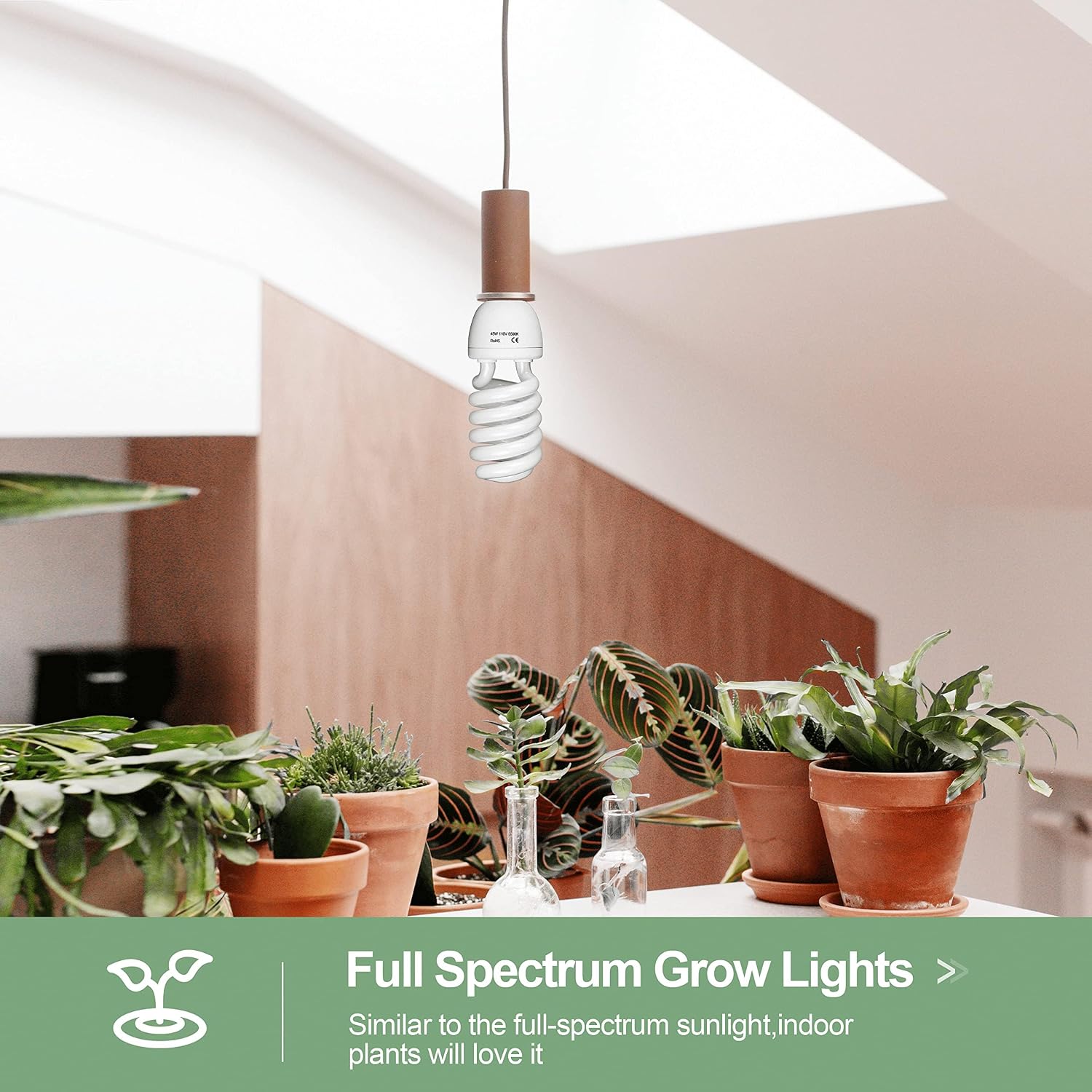 Spiral CFL bulb hanging above a collection of potted indoor plants beneath a skylight.