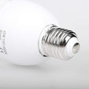 Emart Full Spectrum Light Bulb, 2 x 45W 5500K - EMART8